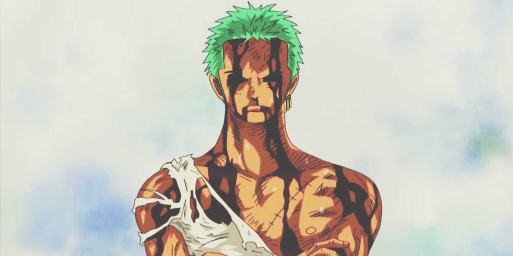 Zoro (1)