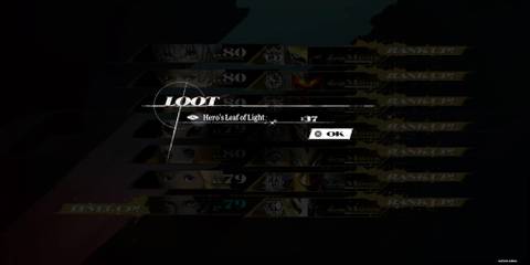 The Party Getting 37 Hero's Leaf Of Light