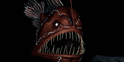 Beyond Blue Anglerfish