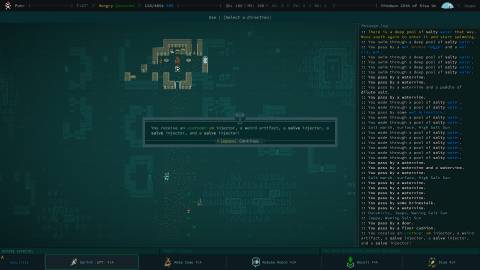 Rewards from the What's Eating the Watervine quest in Caves of Qud