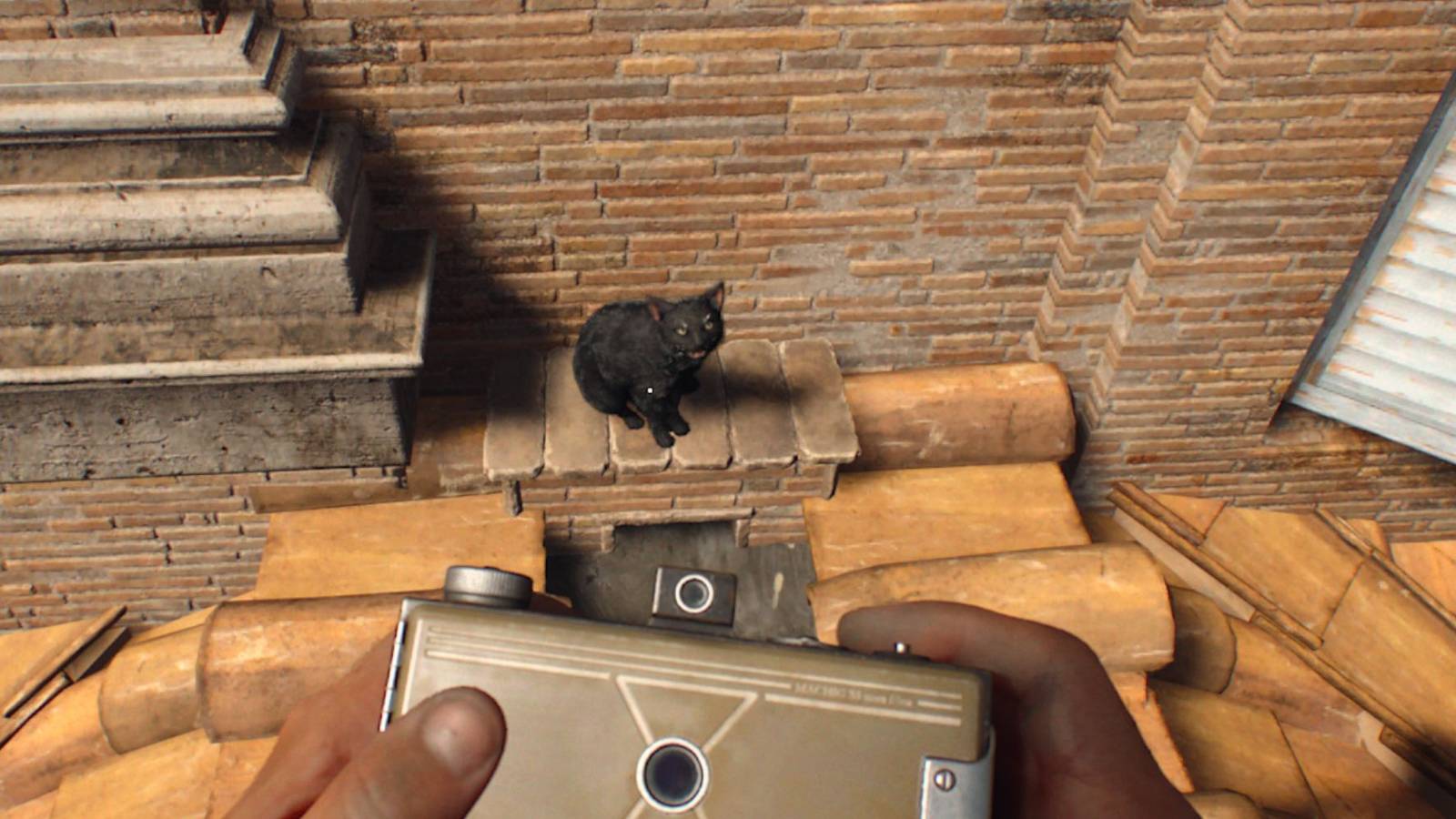 A Free Spirit Mystery Walkthrough in Indiana Jones and the Great Circle (Where To Find The Missing Cat)