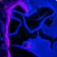 All Racial Ability Changes In 11.0.7 In WoW The War Within