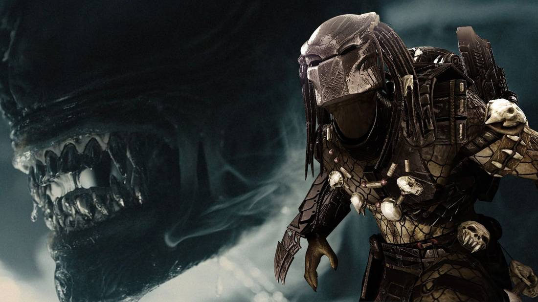 Alien Predader Alien Vs Predator Wallpapers Hd