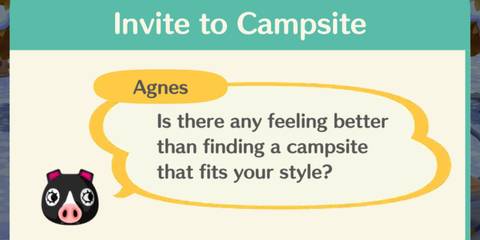 animal crossing pocket camp complete agnus 2