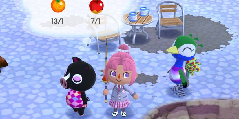 animal crossing pocket camp complete agnus requests