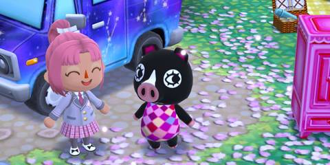 animal crossing pocket camp complete invite agnus to campsite
