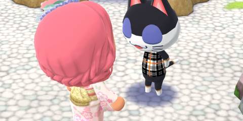 animal crossing pocket camp complete punchy