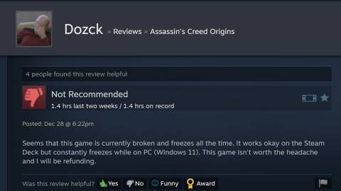 Recent negative Assassin's Creed Origins review on Steam