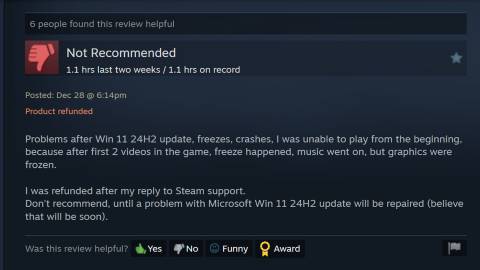 Recent negative Assassin's Creed Origins review on Steam