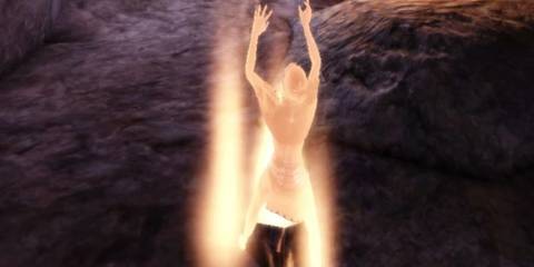 An image of the Shapeshifting specialization being used in Dragon Age Origins