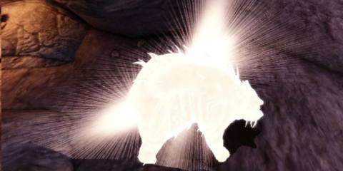 An image of the Shapeshifting specialization being used in Dragon Age Origins