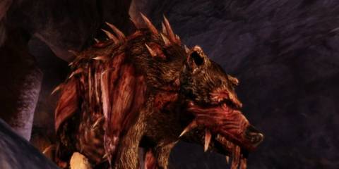 An image of the Shapeshifting specialization being used in Dragon Age Origins