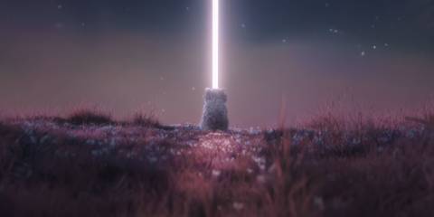 Catly Dev AI Accusations