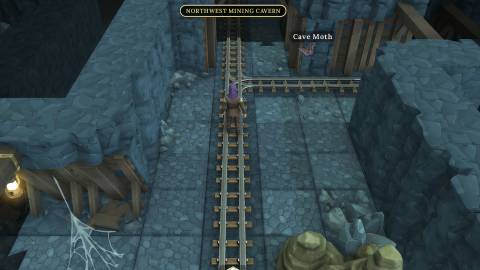 cave moth brighter shores