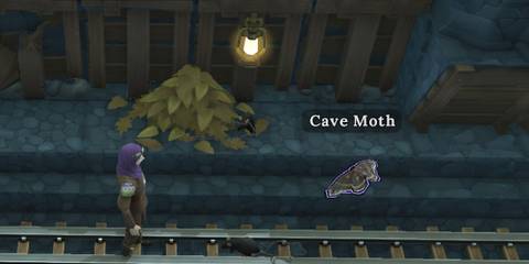 cave moth location brighter shores