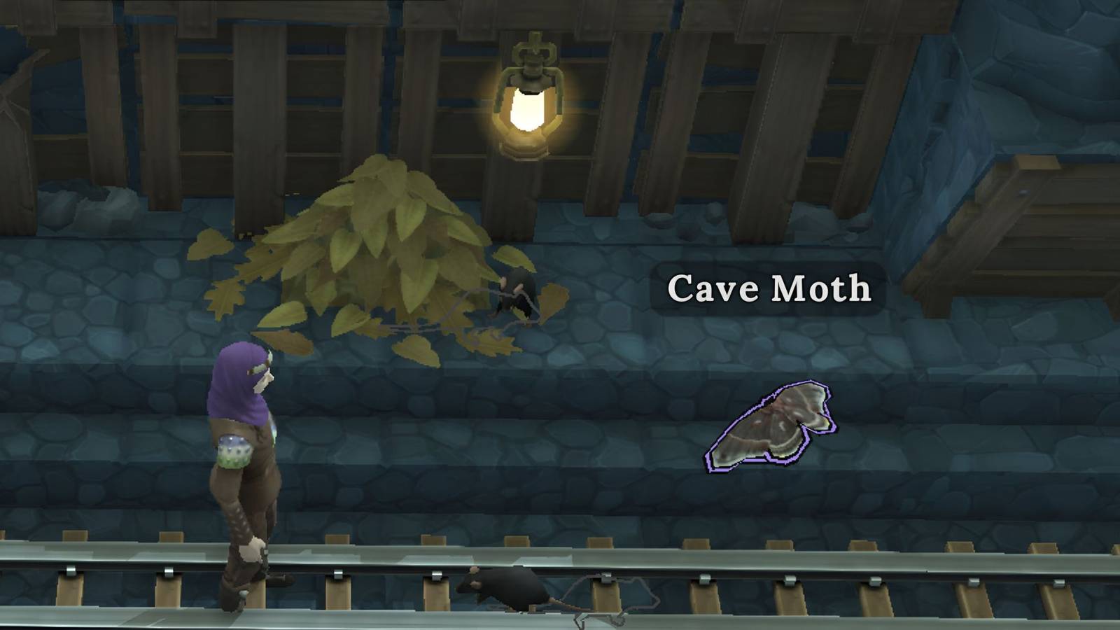 cave moth location brighter shores