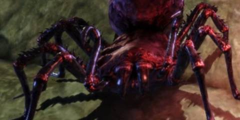 An image of the Shapeshifting specialization being used in Dragon Age Origins