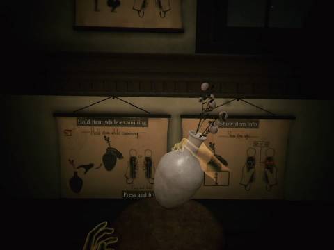 Deracine Press Image 3