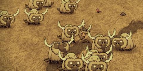 Player In Beefalo Herd