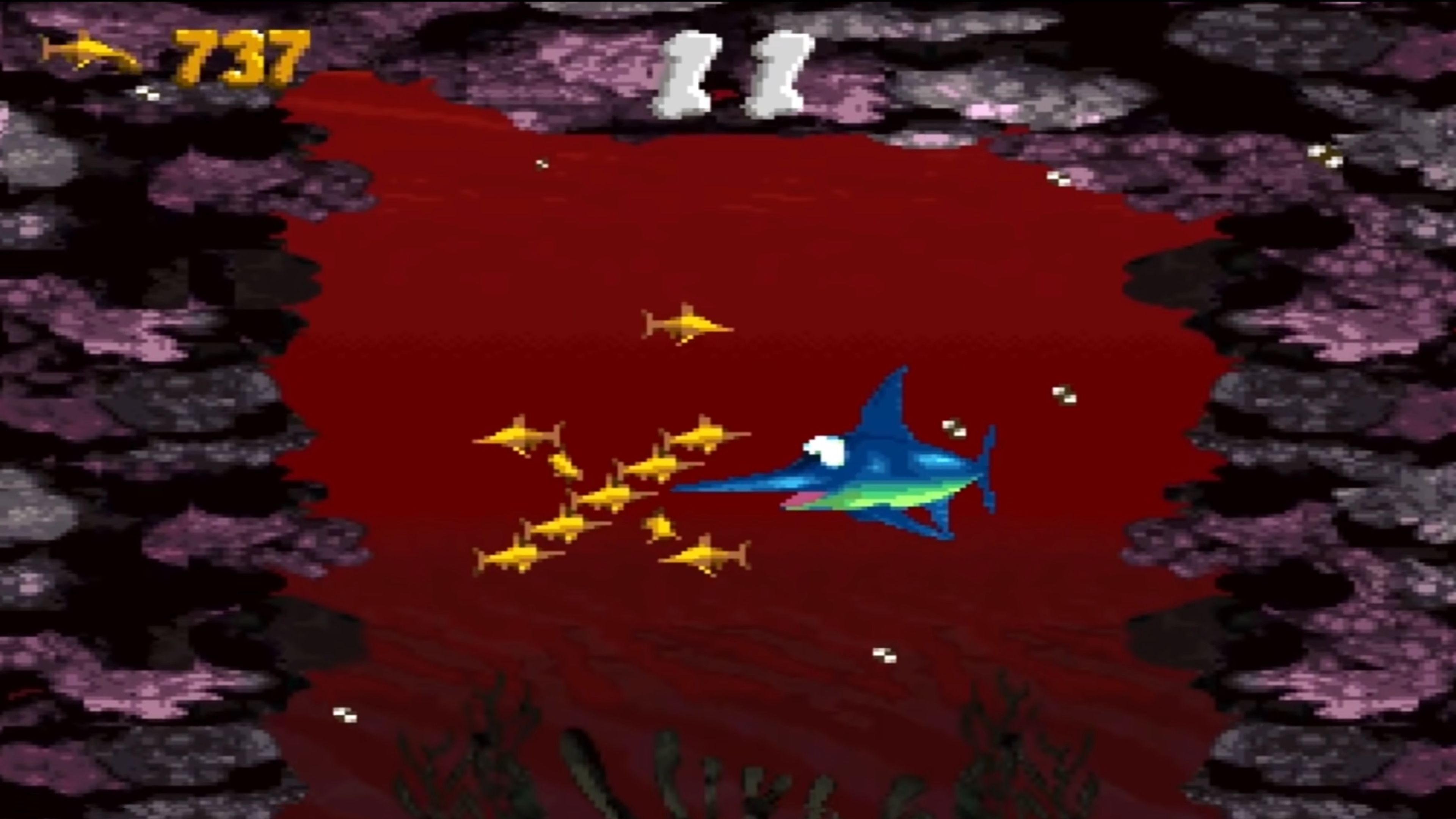 Donkey Kong Country In Game Screenshot 1