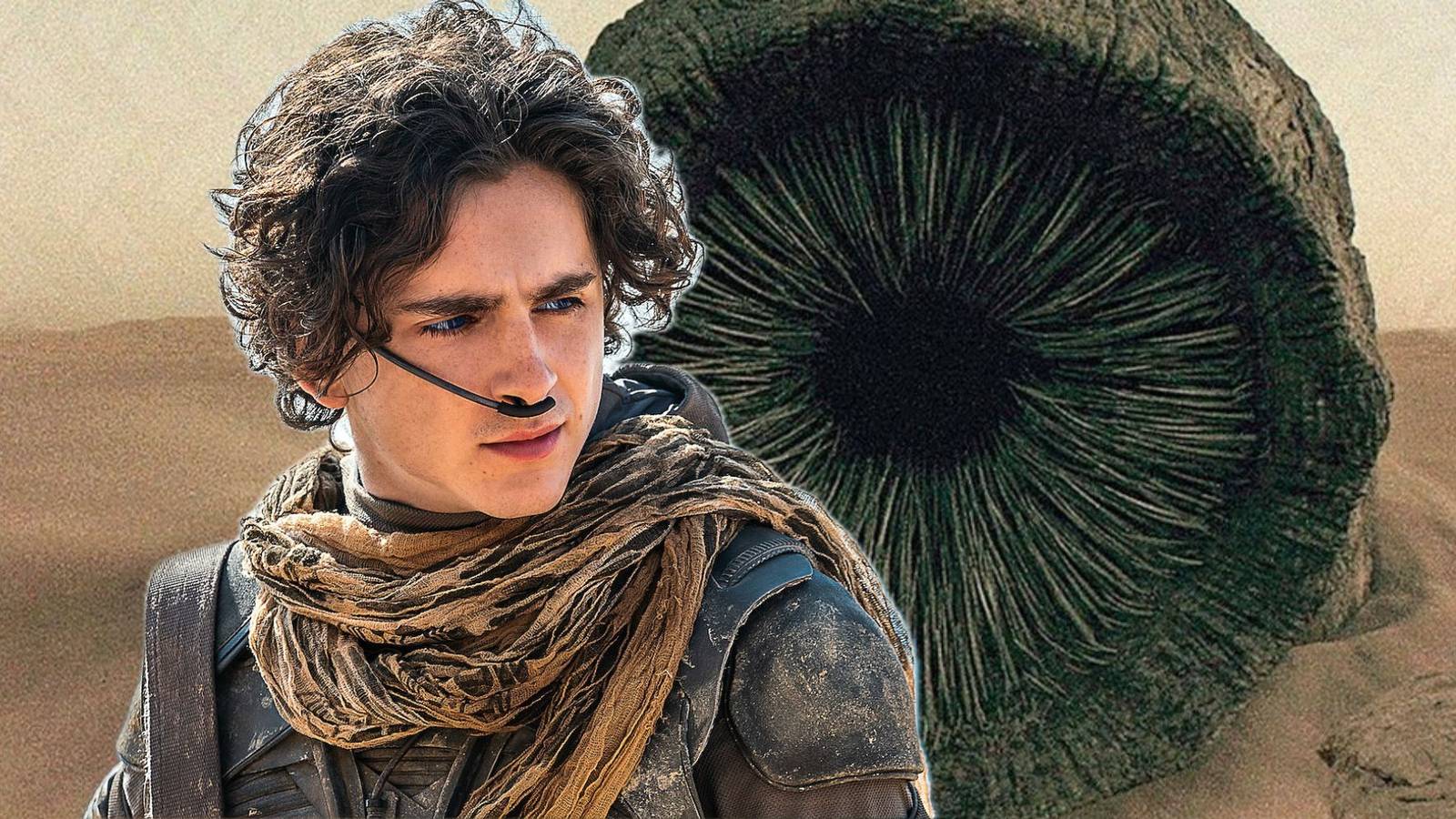Paul Atreides Dune Part Two
