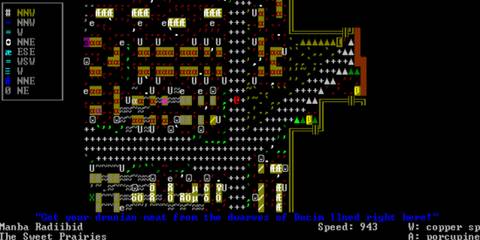 Dwarf Fortress adventurer