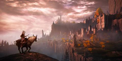 elden ring tarnished standing on the cliff