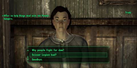 Fallout Role-Playing 3