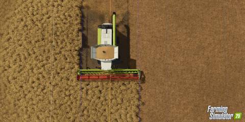 Farming Simulator 25 Harvesting Crops