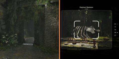 Final Room Opened and Elephant in the Room Mystery Completed