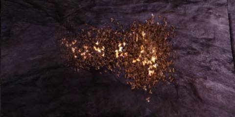 An image of the Shapeshifting specialization being used in Dragon Age Origins