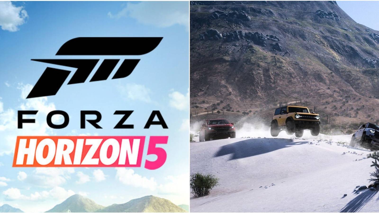 forza horizon 5 logo and multiple cars