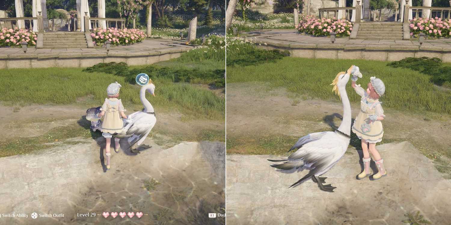 Infinity Swans How To Get Night Velvet & Rose Velvet In Infinity Nikki