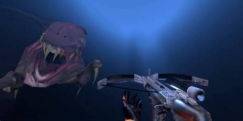 Half-Life Ichthyosaur