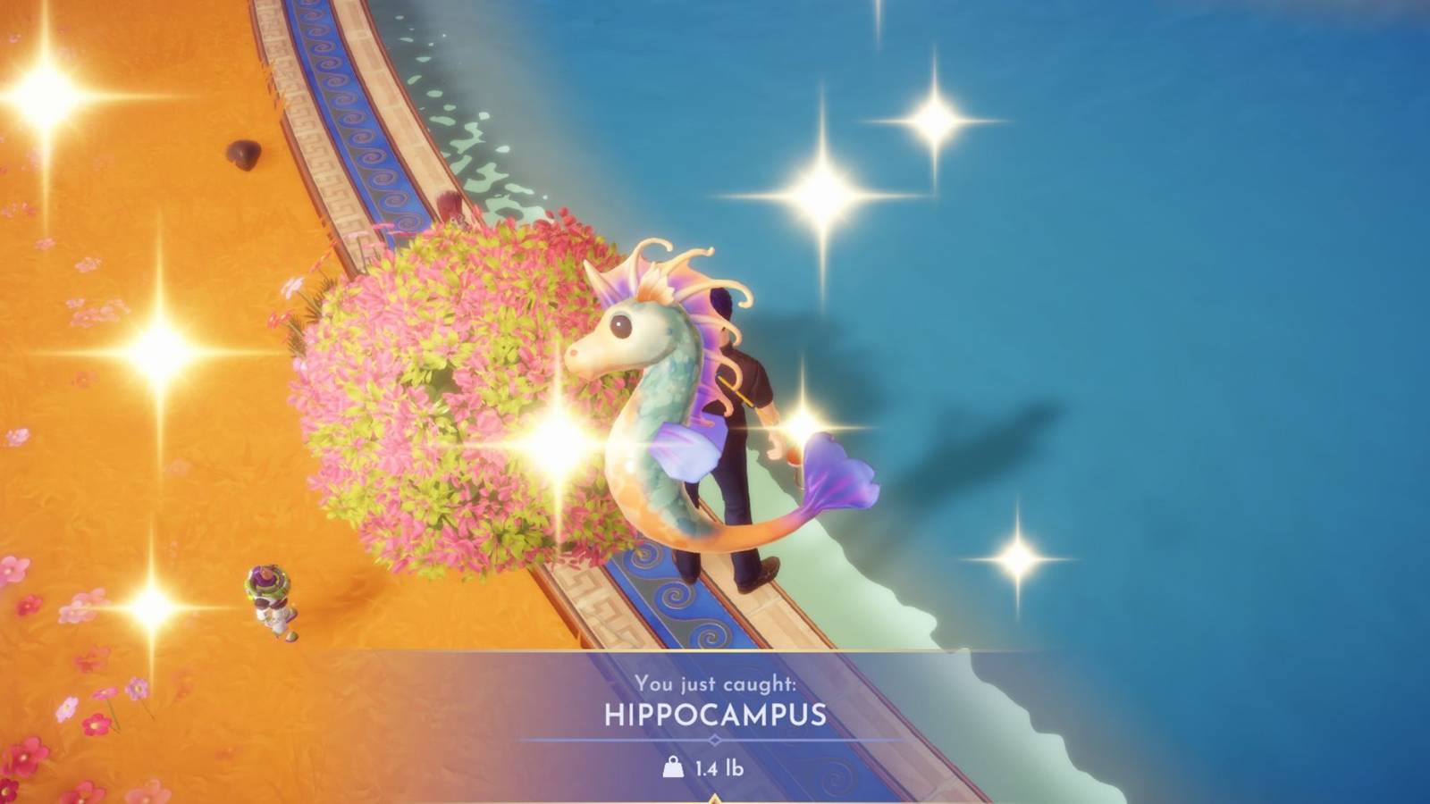 hippocampus location ddv