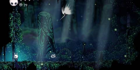 Hollow Knight - Fighting Hornet