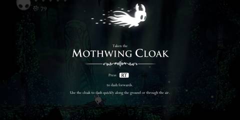 Hollow Knight - Mothwing Cloak