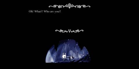 Hollow Knight Saving Sly