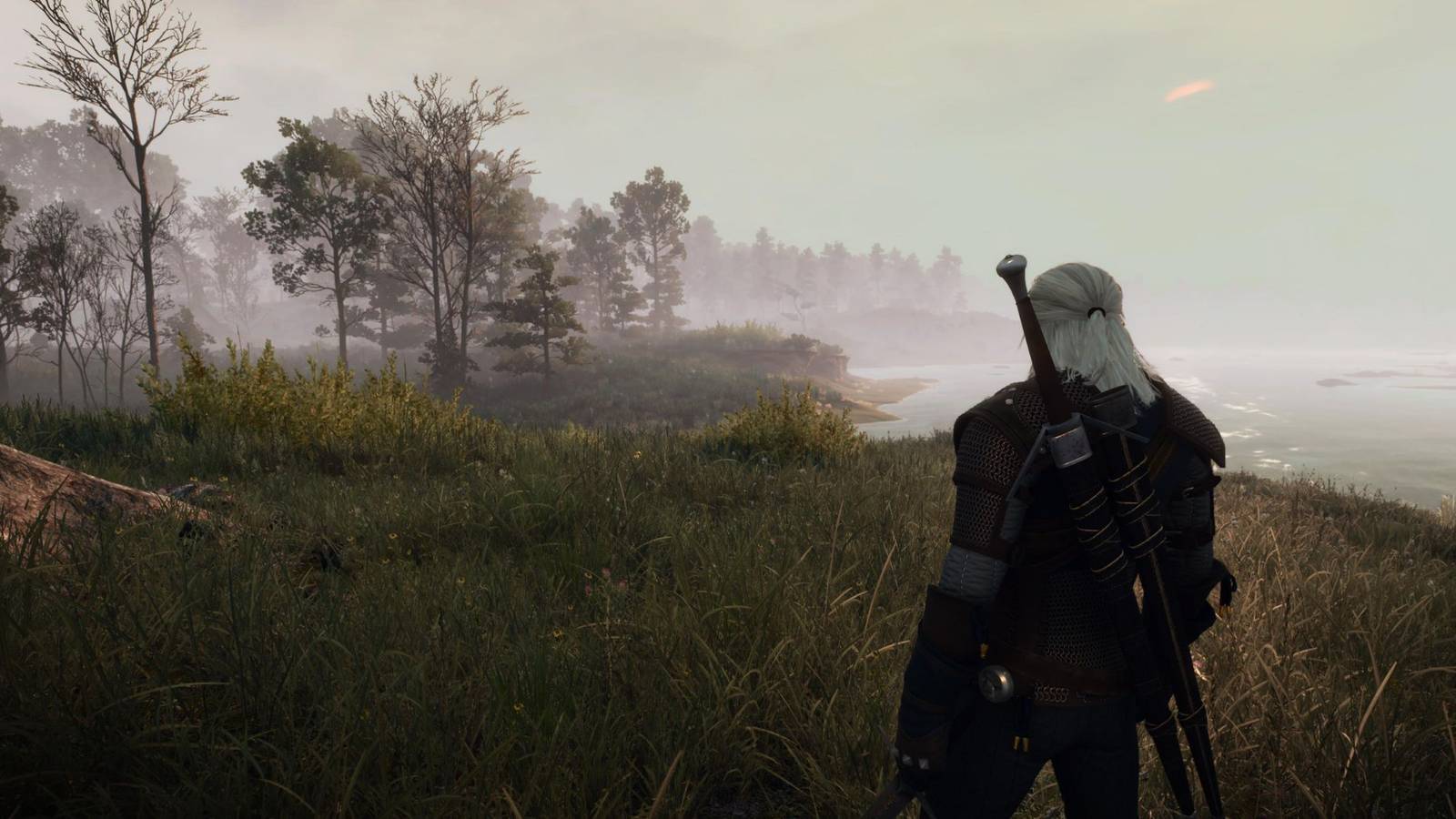 Witcher 3 Close Camera Distance