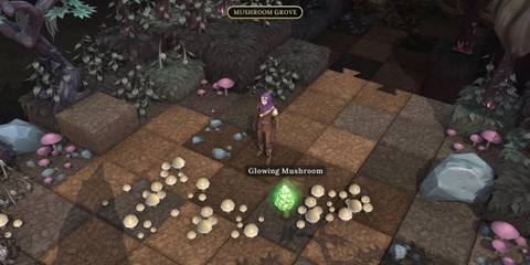 how to get glowing mushroom in brighter shores 