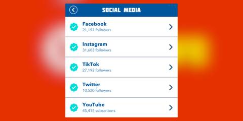 how to verify social media account in bitlife