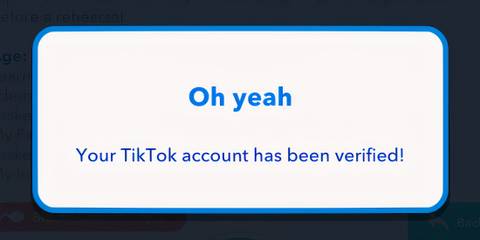 how to verify social media account in bitlife