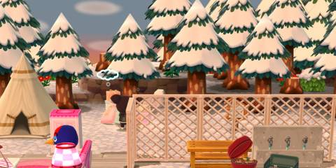 animal crossing pocket camp complete