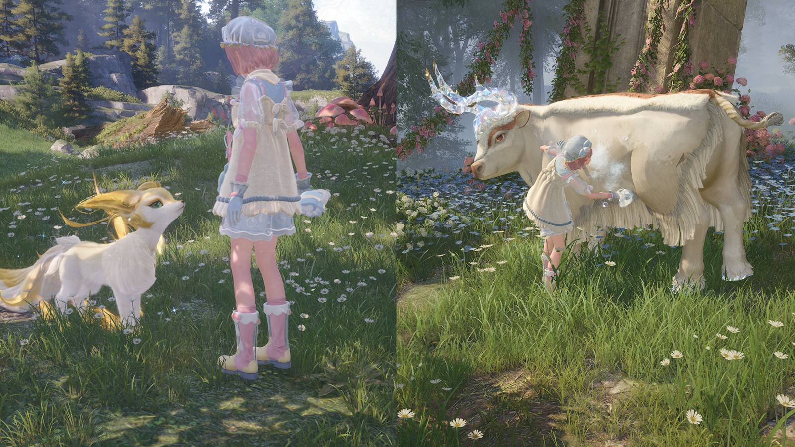 infinity nikki rarest materials