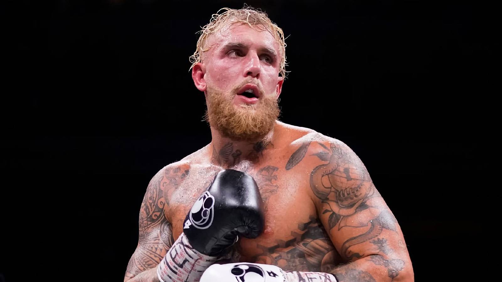 jake paul conor mcgregor boxing fight 2025