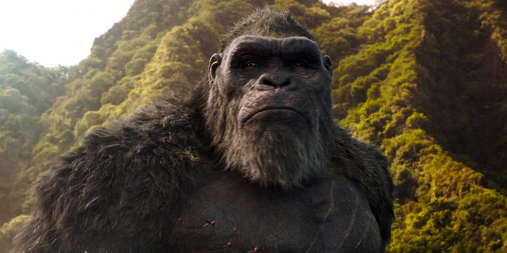 A screenshot of King Kong from Godzilla vs. Kong.
