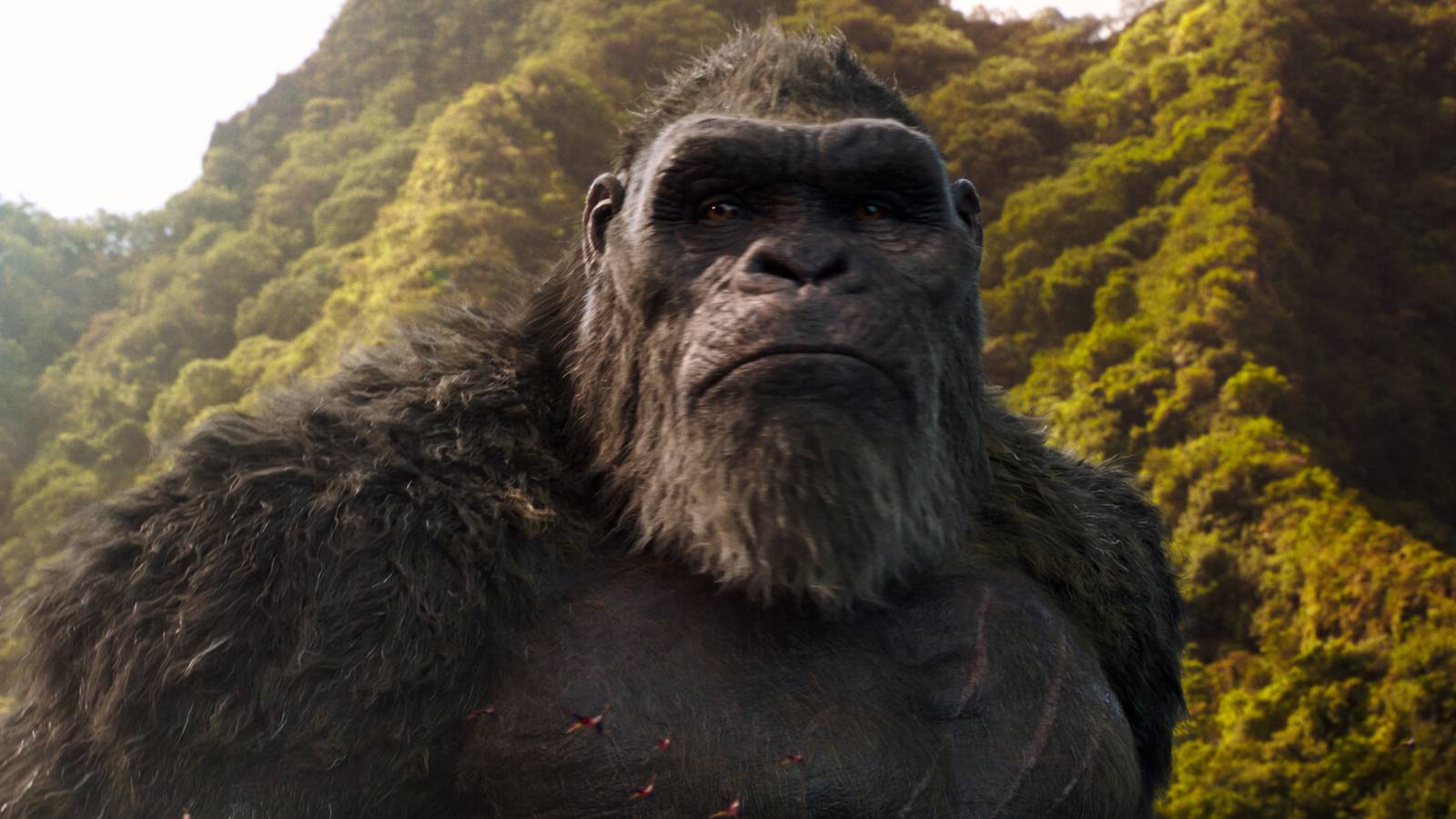 A screenshot of King Kong from Godzilla vs. Kong.