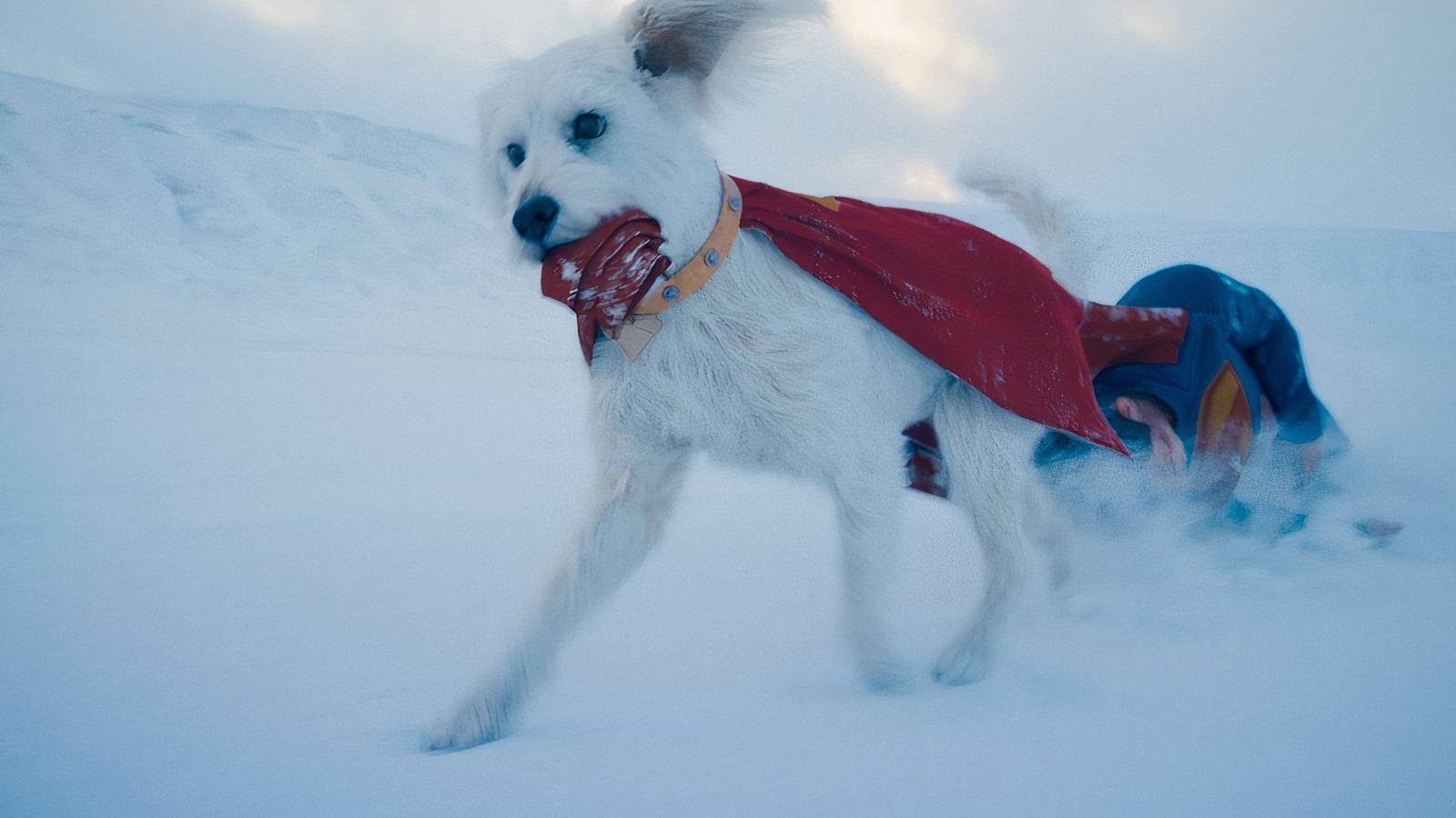 Krypto Superman DC James Gunn
