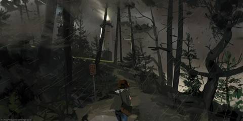 Life Is Strange Dark Forest