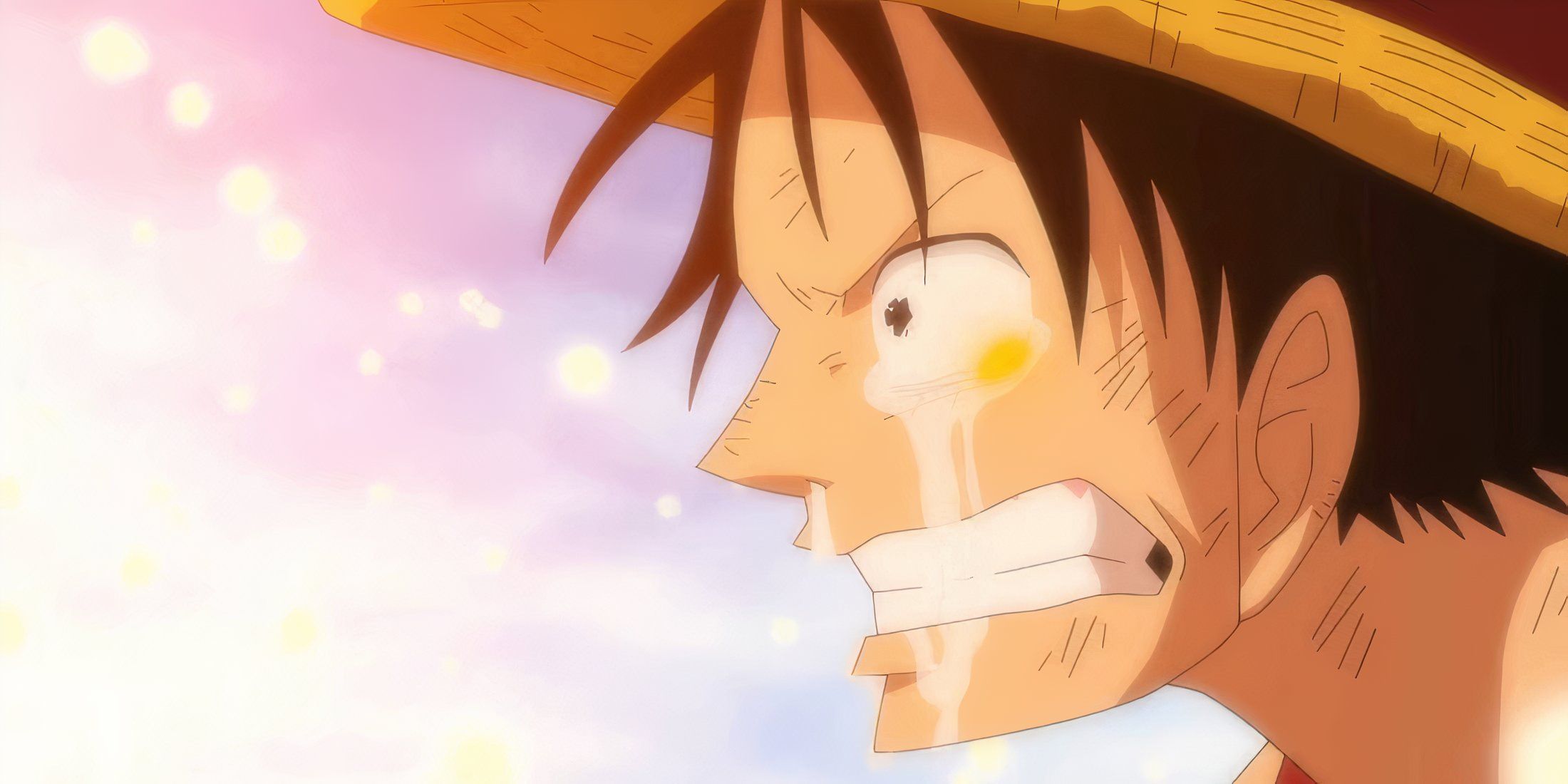 One Piece: Fujitora's Zushi Zushi no Mi, Devil Fruit, Explained